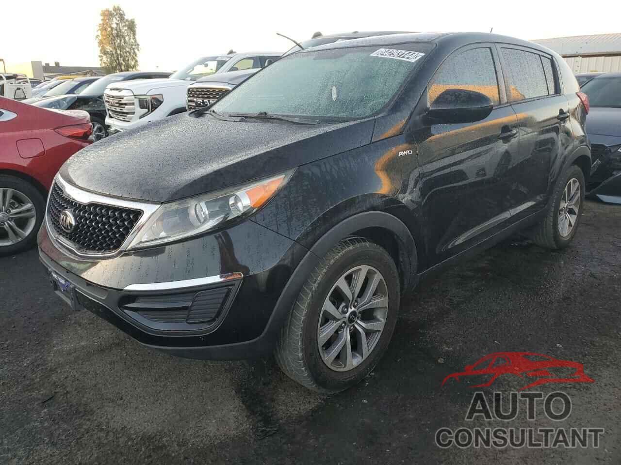 KIA SPORTAGE 2016 - KNDPBCAC9G7872908