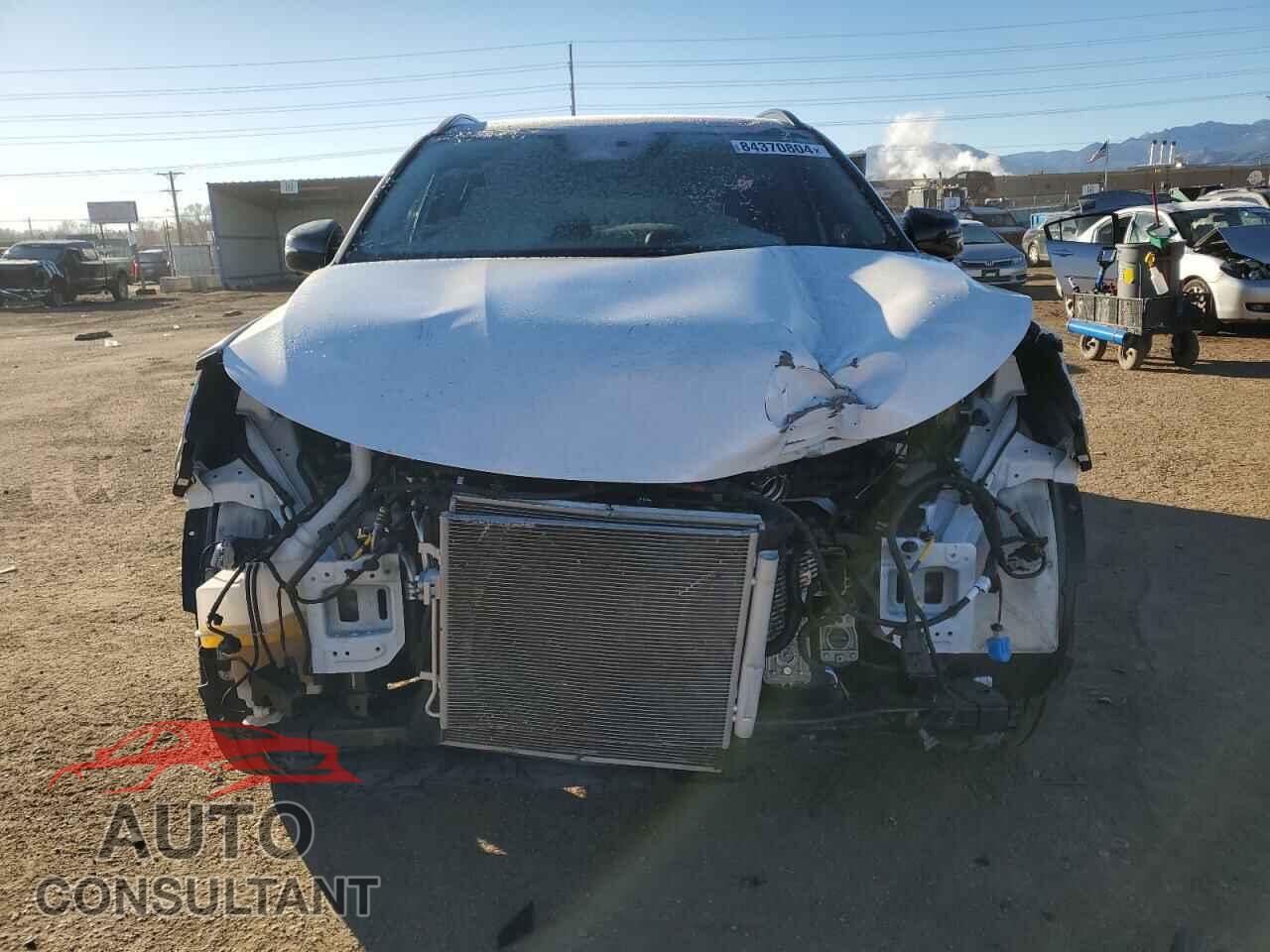KIA SORENTO 2023 - 5XYRKDLF4PG251116