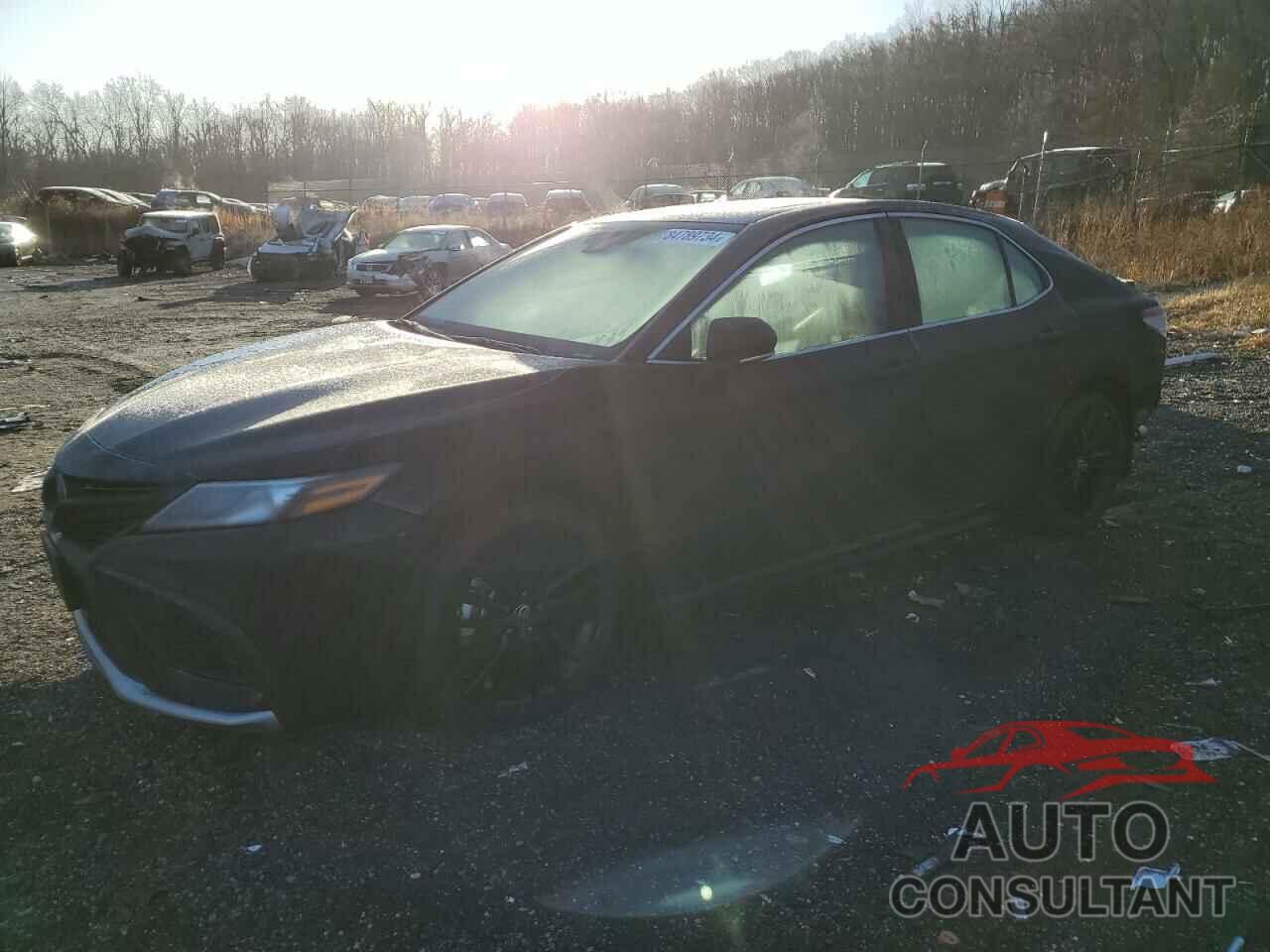 TOYOTA CAMRY 2024 - 4T1K31AK8RU065640
