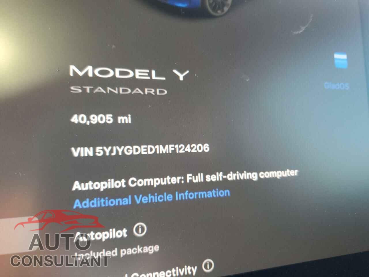 TESLA MODEL Y 2021 - 5YJYGDED1MF124206