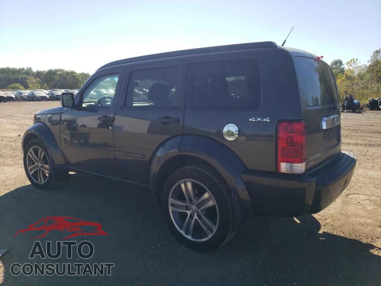 DODGE NITRO 2011 - 1D4PU7GX0BW587432