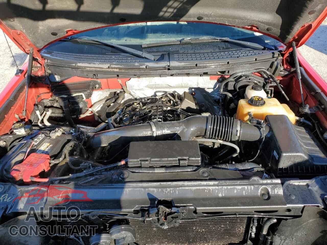 FORD F-150 2012 - 1FTFX1ET2CKD25806