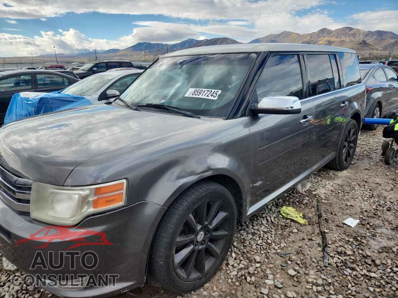 FORD FLEX 2009 - 2FMDK53C29BB07802