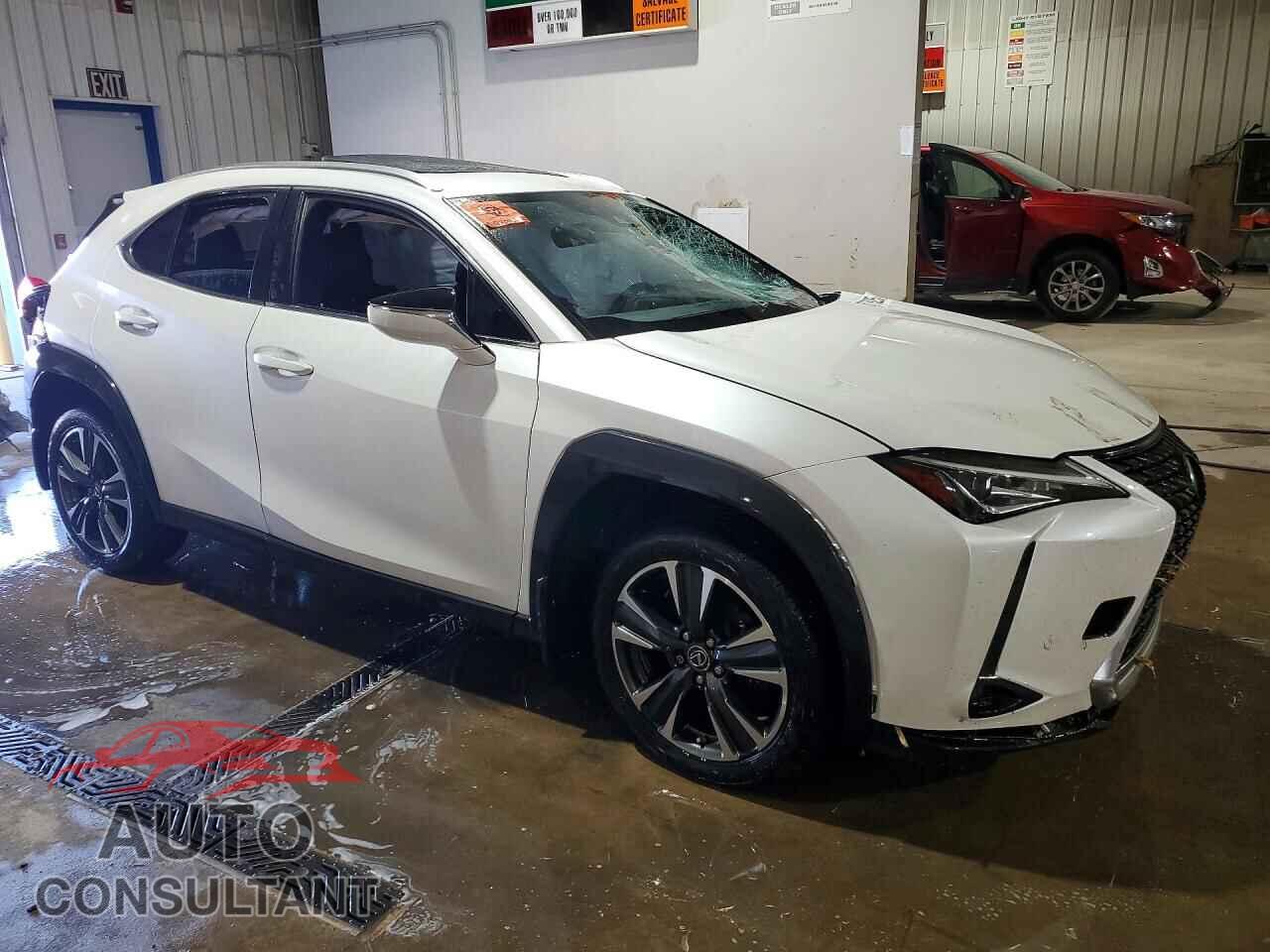 LEXUS ALL OTHER 2019 - JTHY3JBH6K2018415