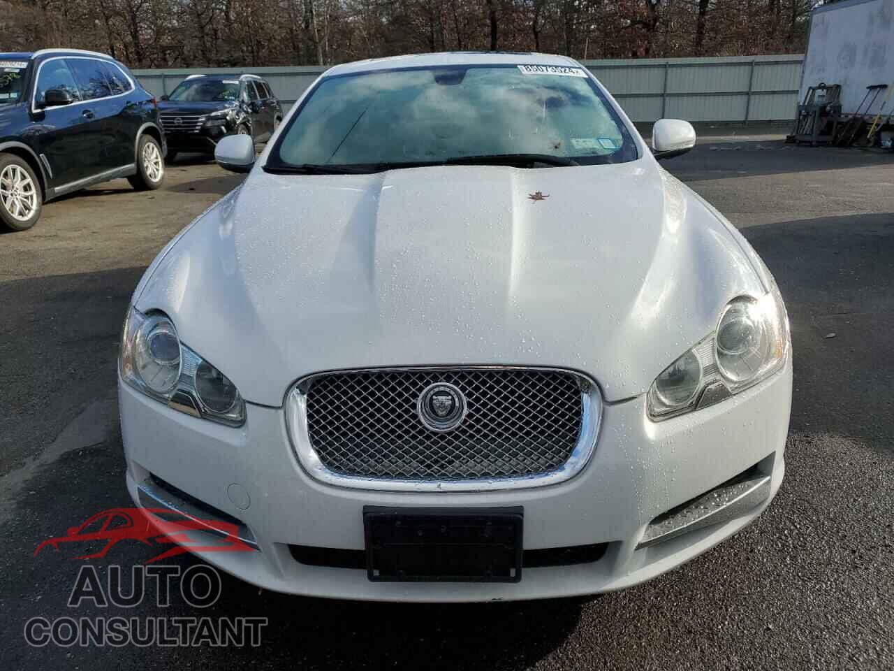 JAGUAR XF 2011 - SAJWA0FB3BLS17853