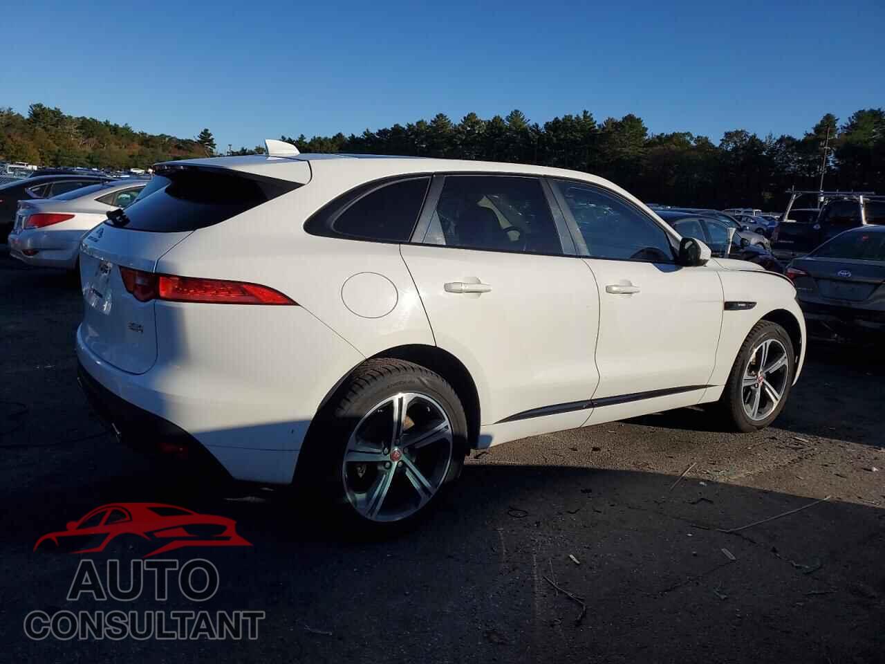 JAGUAR F-PACE 2017 - SADCL2BV4HA492910