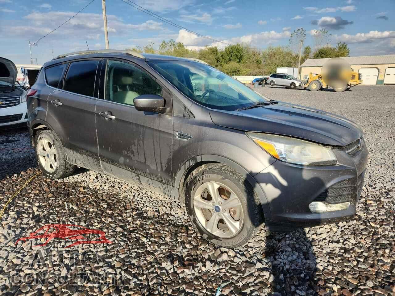 FORD ESCAPE 2014 - 1FMCU9GX0EUB81900