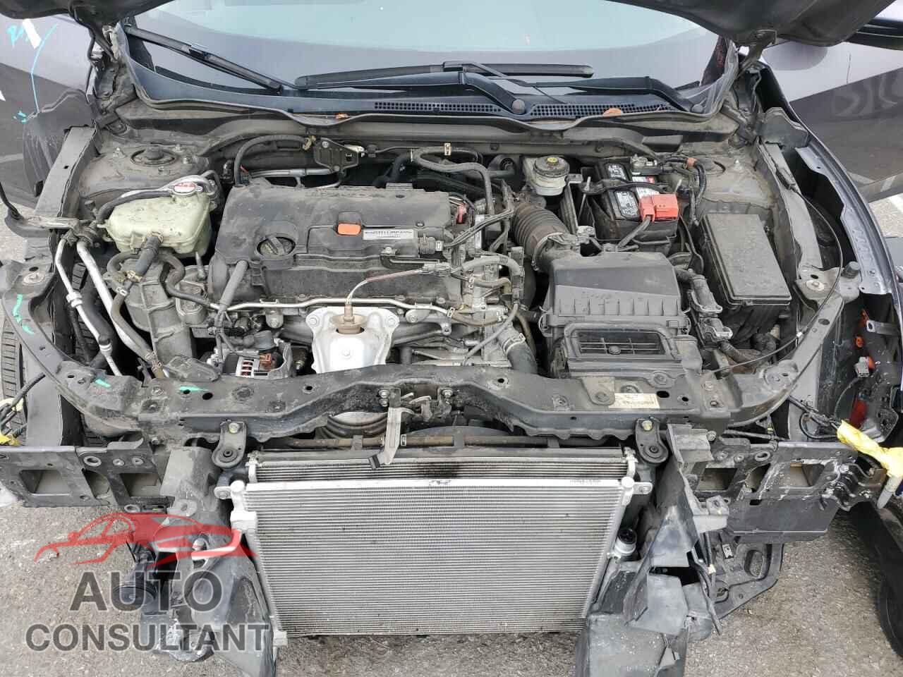 HONDA CIVIC 2017 - 2HGFC2F77HH527205