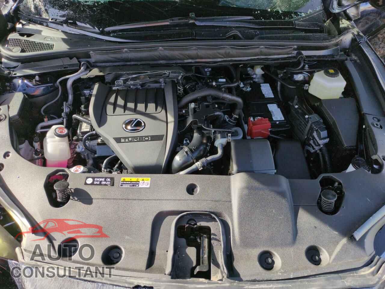 LEXUS RX350 2024 - 2T2BAMCA7RC074760