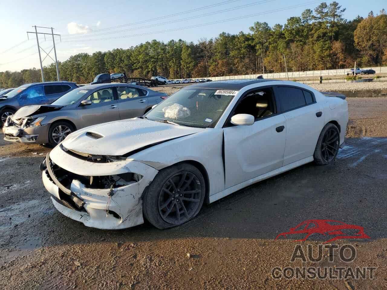 DODGE CHARGER 2019 - 2C3CDXGJ6KH599353