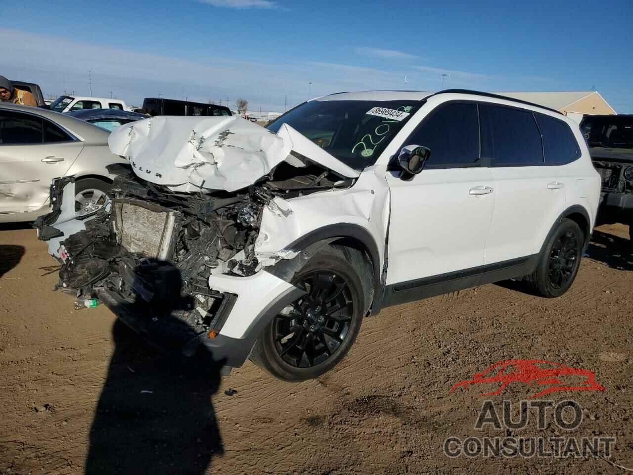 KIA TELLURIDE 2021 - 5XYP5DHC0MG191750