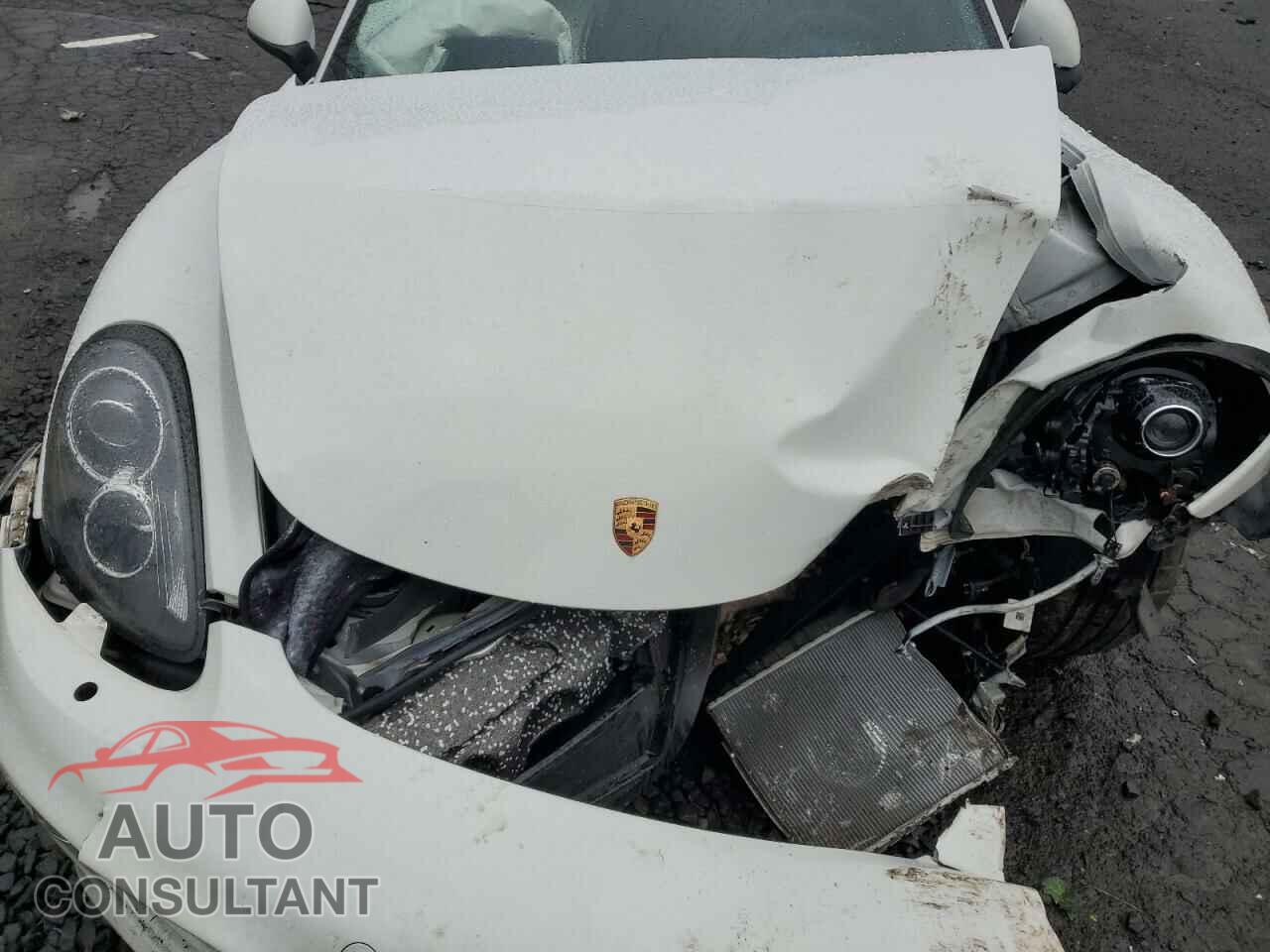PORSCHE CAYMAN 2014 - WP0AA2A81EK172051
