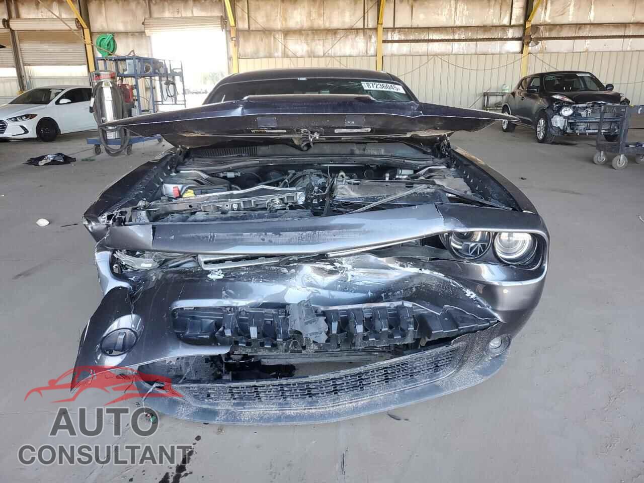 DODGE CHALLENGER 2017 - 2C3CDZBT2HH655866