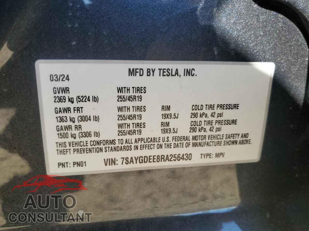 TESLA MODEL Y 2024 - 7SAYGDEE8RA256430