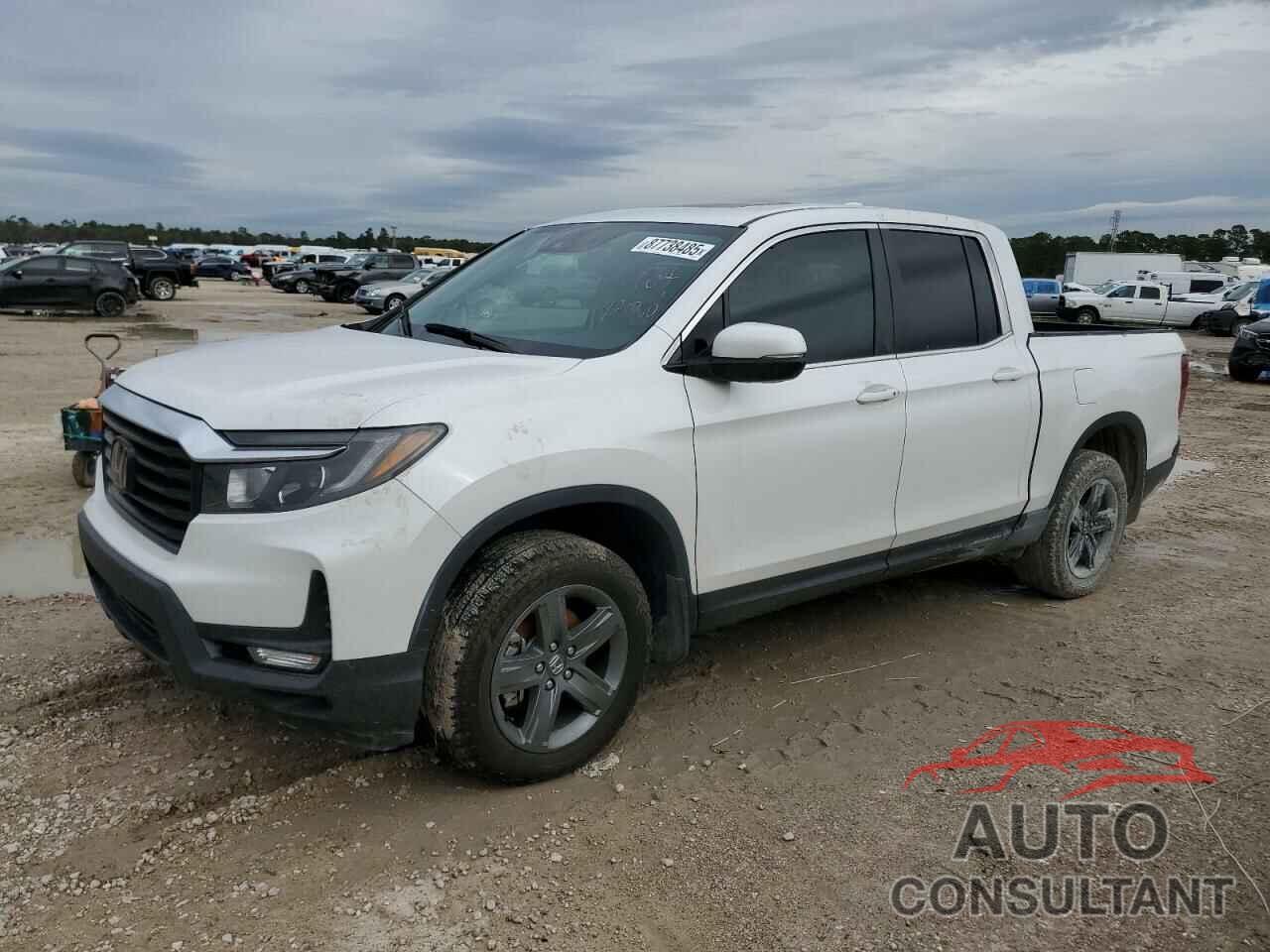 HONDA RIDGELINE 2023 - 5FPYK3F51PB038793