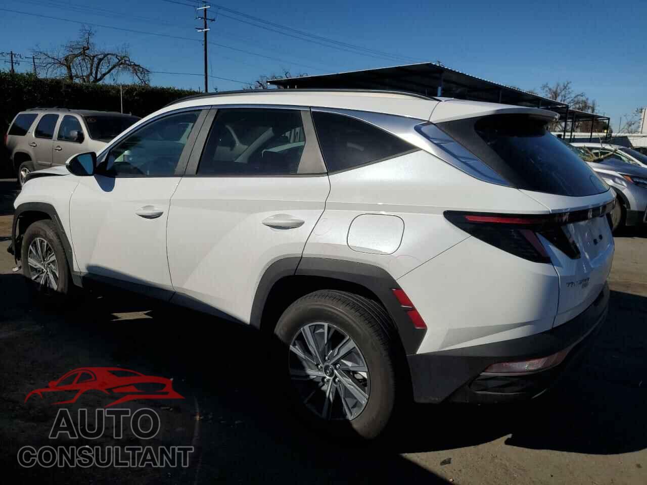 HYUNDAI TUCSON 2023 - KM8JBCA19PU125178
