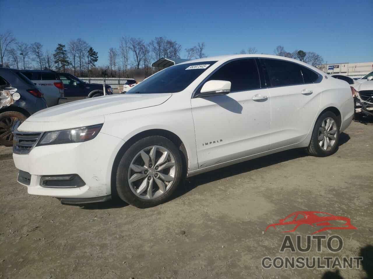 CHEVROLET IMPALA 2019 - 1G11Z5S33KU128705