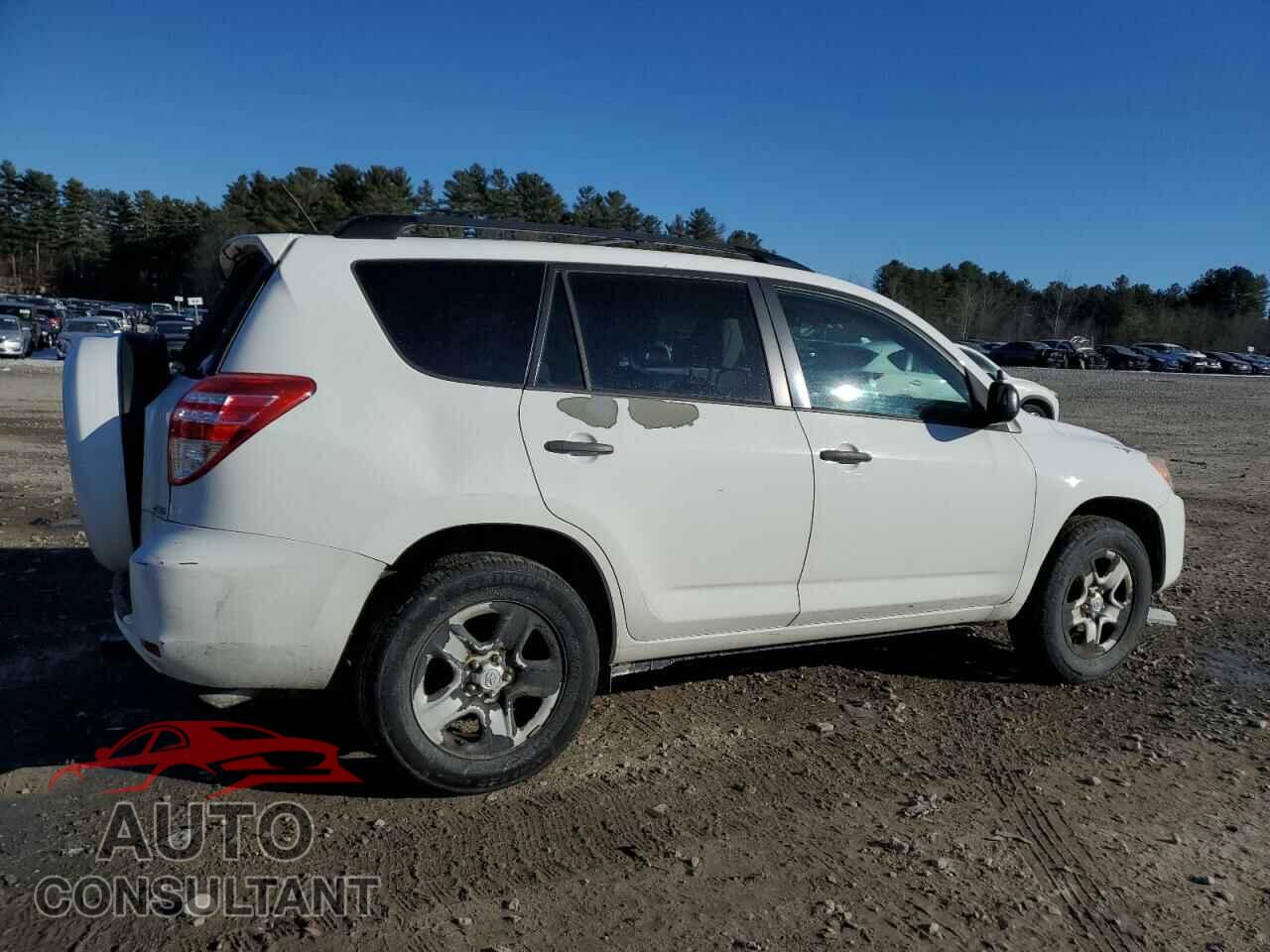 TOYOTA RAV4 2011 - 2T3BF4DV1BW144854