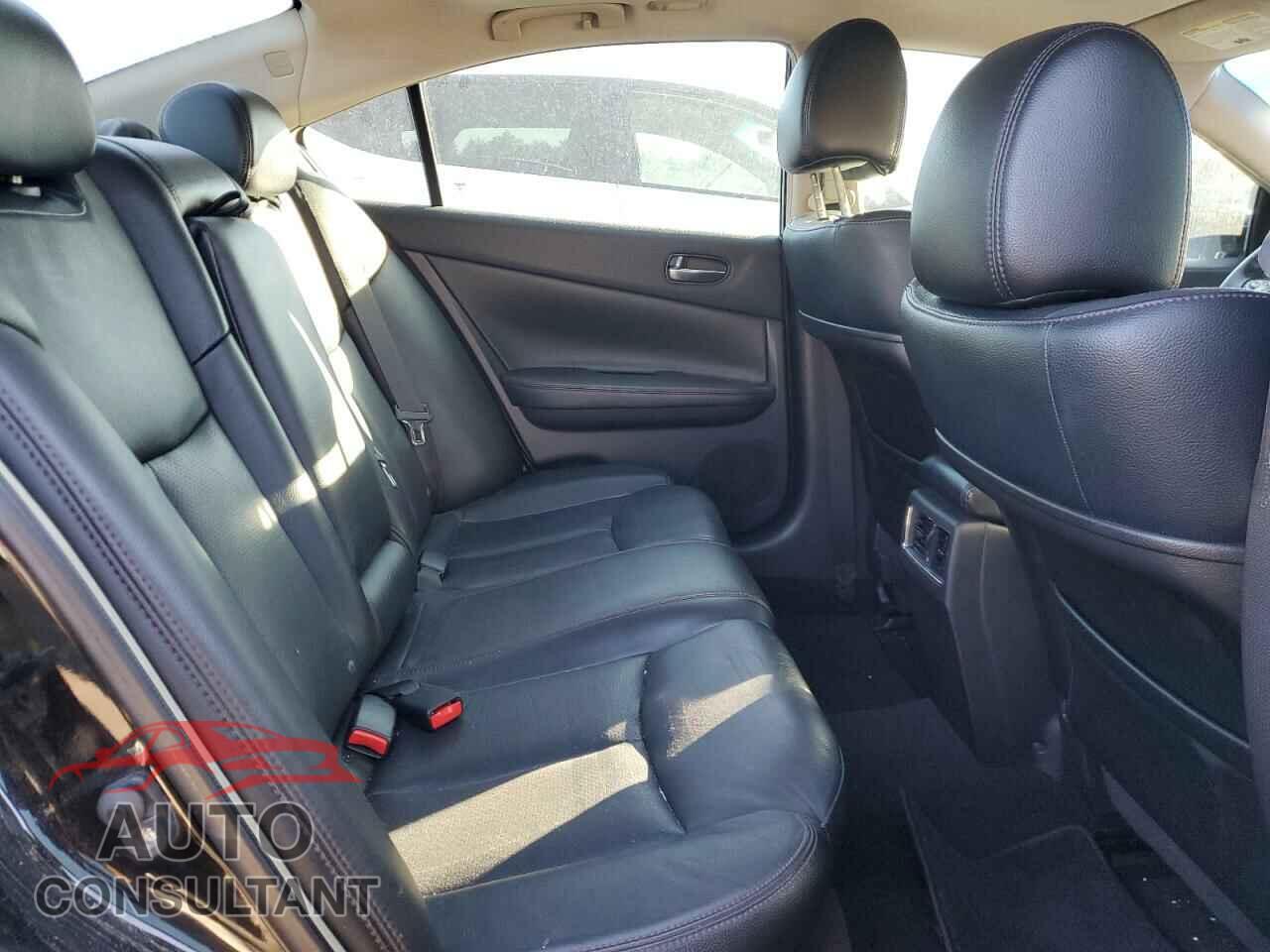 NISSAN MAXIMA 2009 - 1N4AA51E39C841756