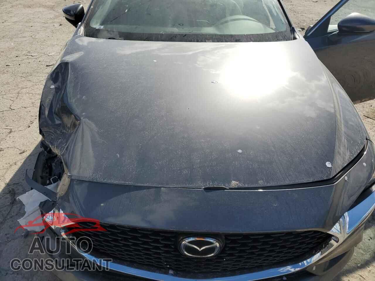 MAZDA 3 2019 - JM1BPBAM0K1115860