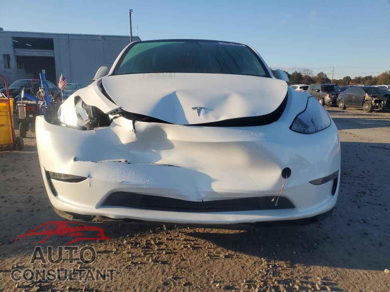 TESLA MODEL Y 2024 - 7SAYGAEE4RF206318