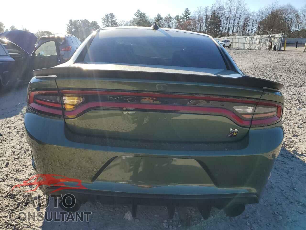 DODGE CHARGER 2019 - 2C3CDXGJ8KH603077