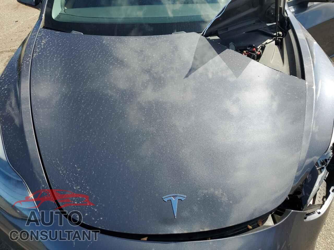 TESLA MODEL 3 2021 - 5YJ3E1EA5MF046629