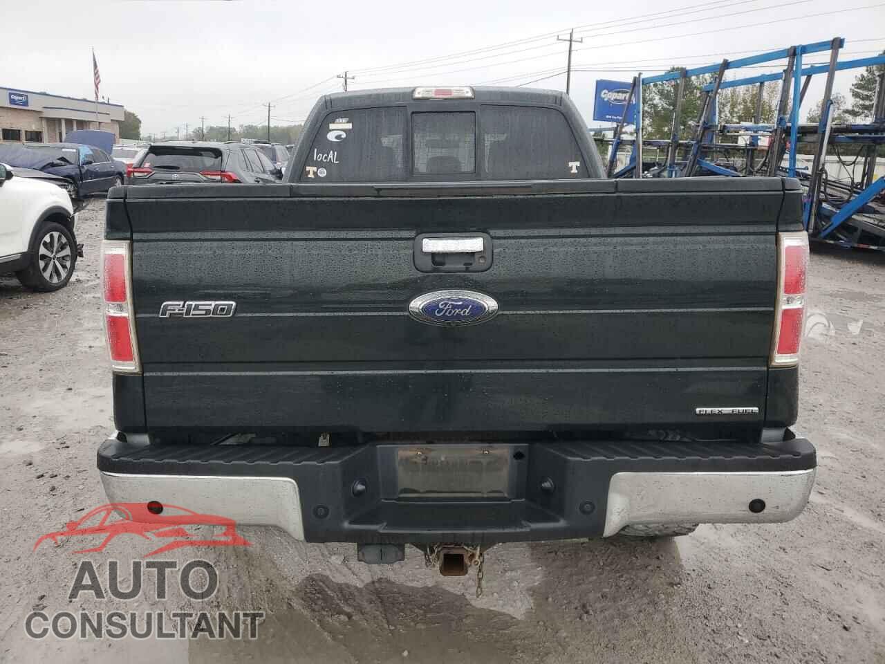 FORD F-150 2013 - 1FTFX1EF2DFC25774