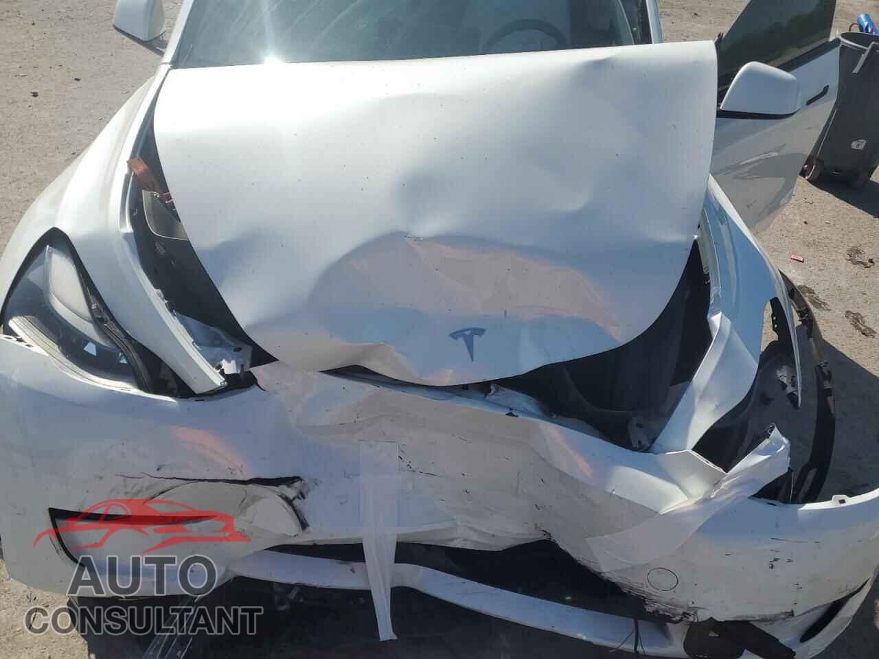 TESLA MODEL Y 2023 - 7SAYGAEEXPF595155
