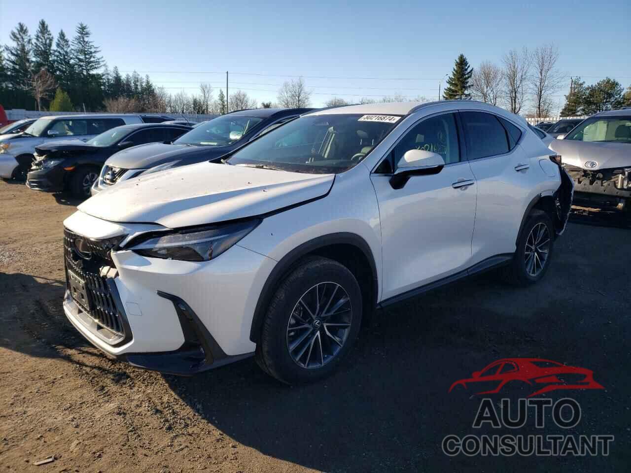 LEXUS NX 250 2023 - 2T2ADCEZ7PC003569