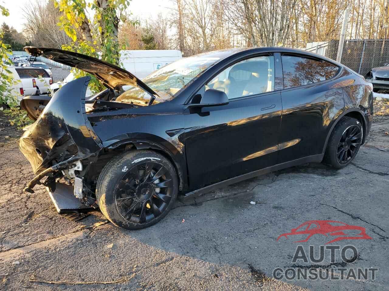 TESLA MODEL Y 2021 - 5YJYGDEE5MF097231