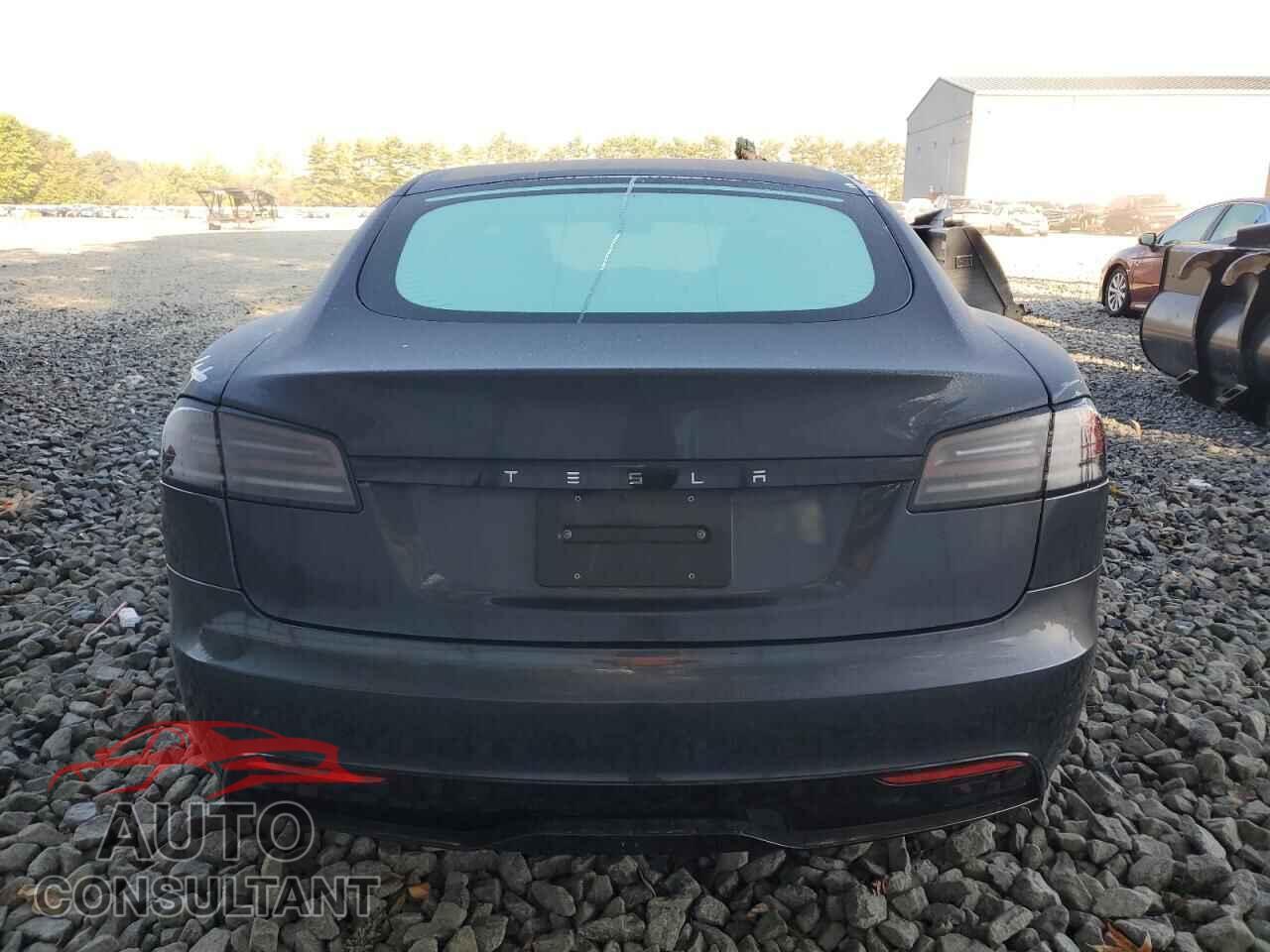TESLA MODEL S 2024 - 5YJSA1E55RF538627