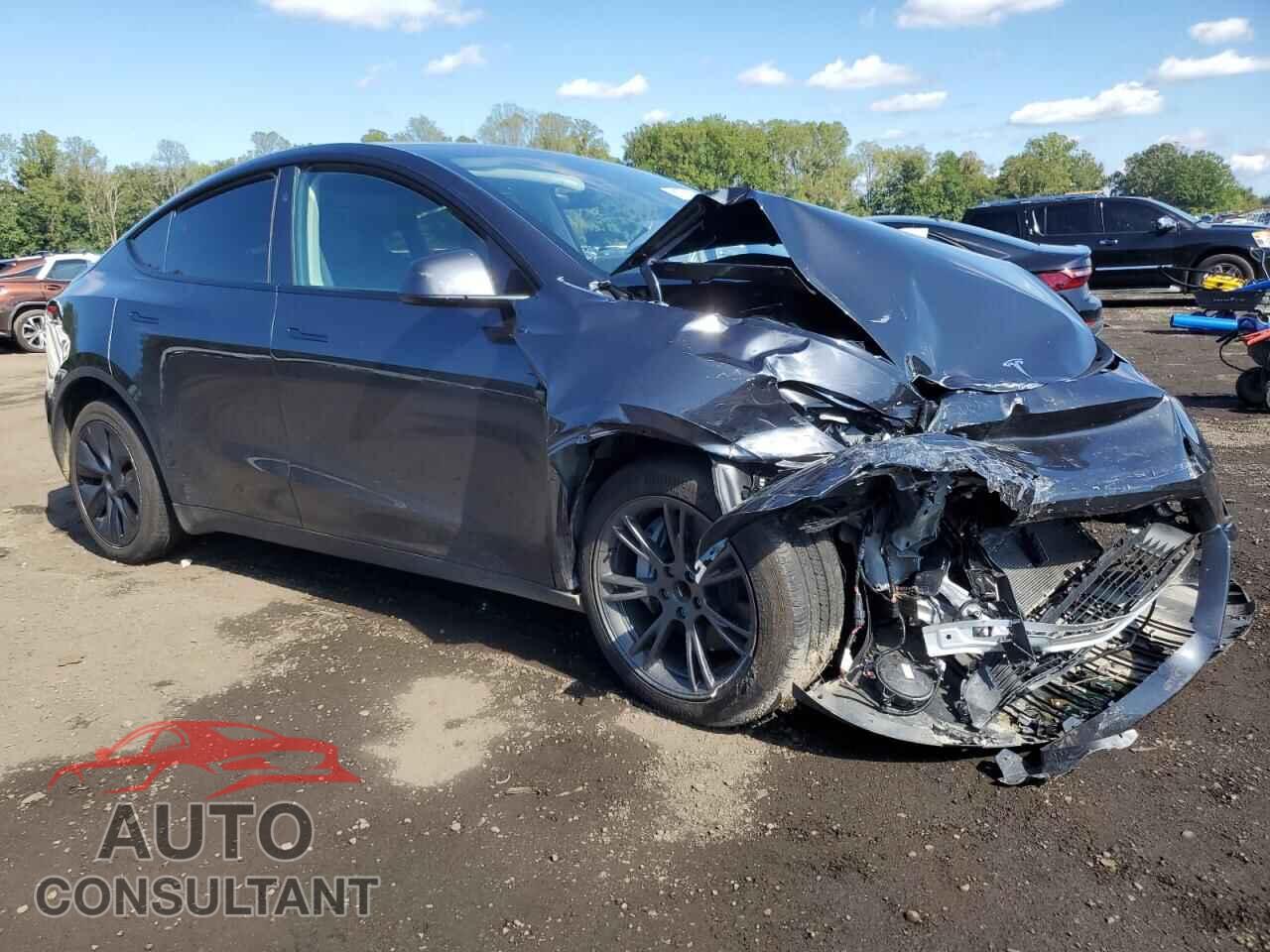 TESLA MODEL Y 2025 - 7SAYGDED3SF266122