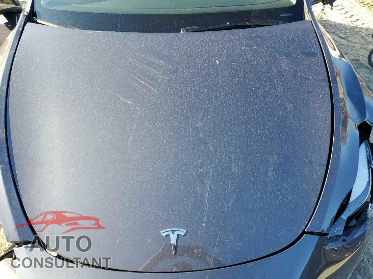TESLA MODEL Y 2023 - 7SAYGDED8PF957265