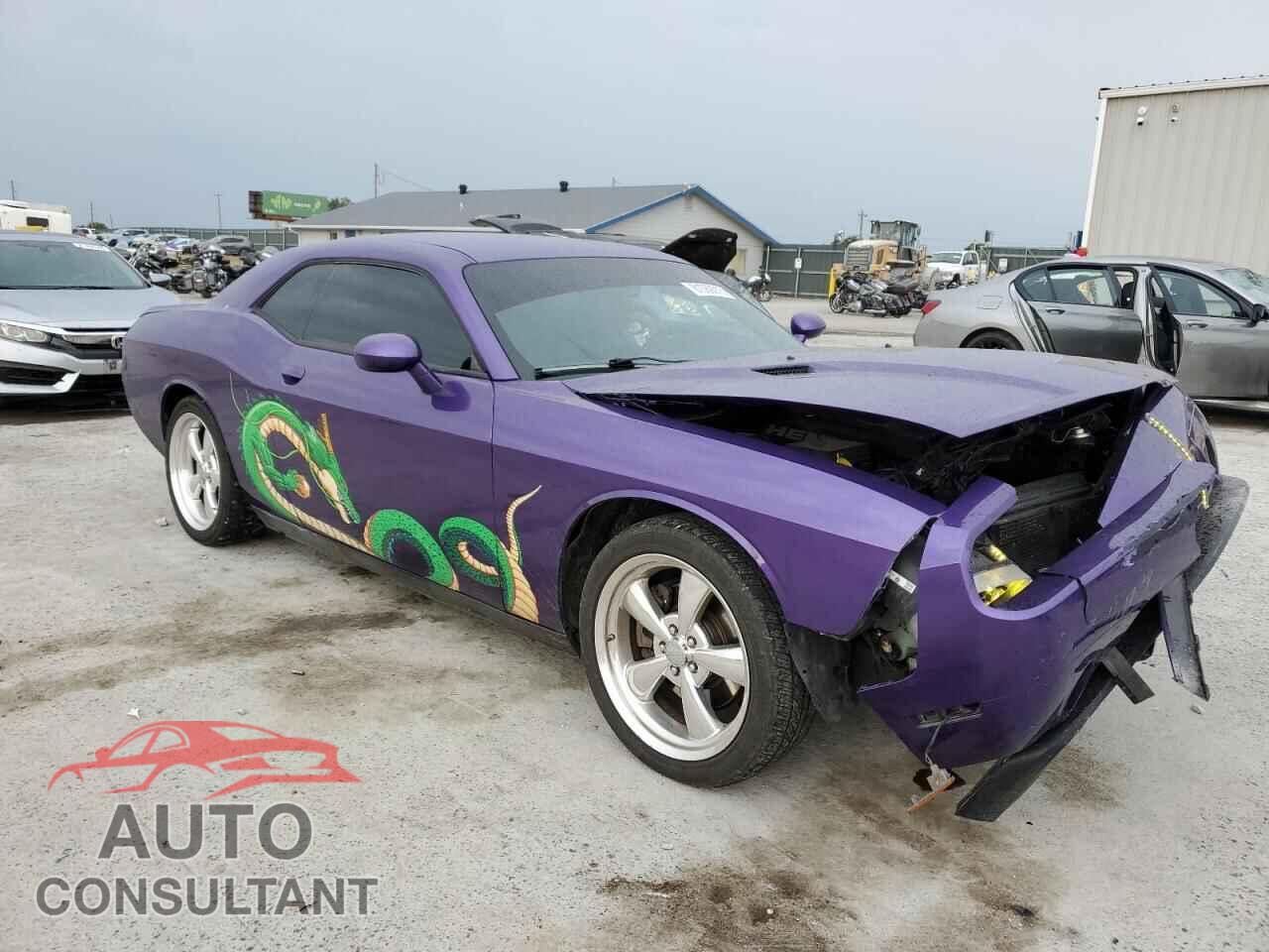 DODGE CHALLENGER 2013 - 2C3CDYBTXDH671592