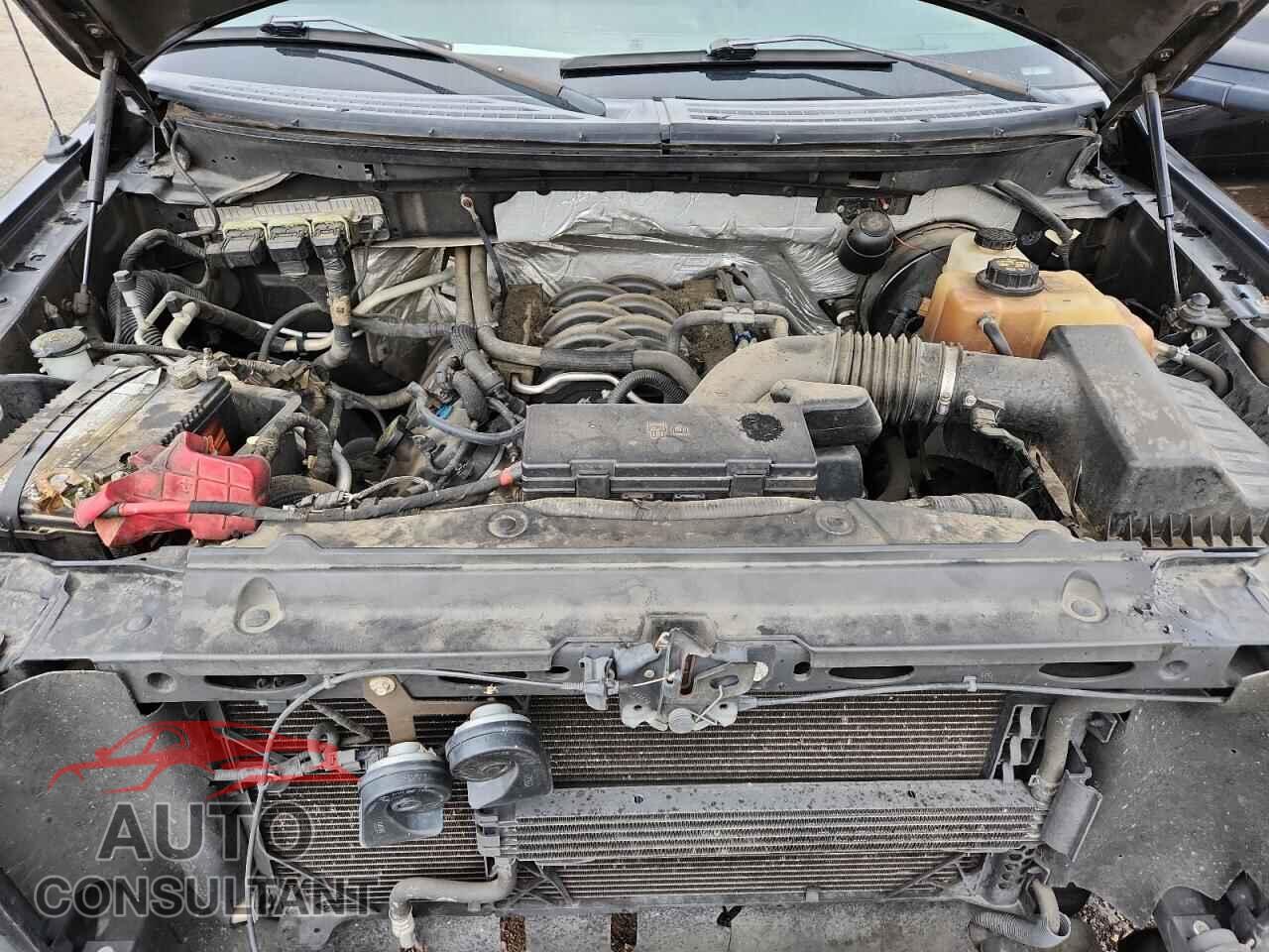 FORD F-150 2011 - 1FTFX1CF4BFA40884