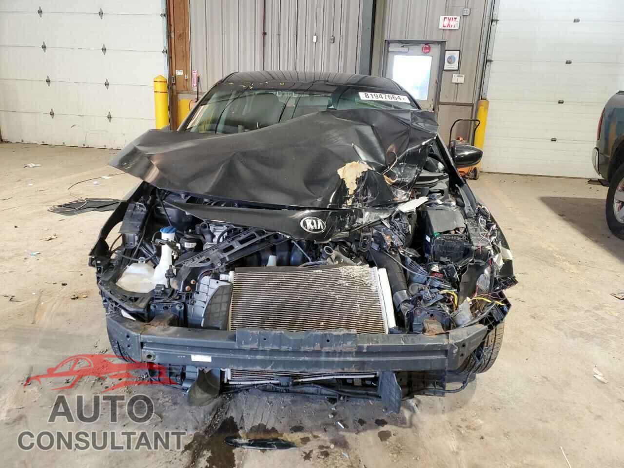 KIA FORTE 2016 - KNAFK4A69G5567591