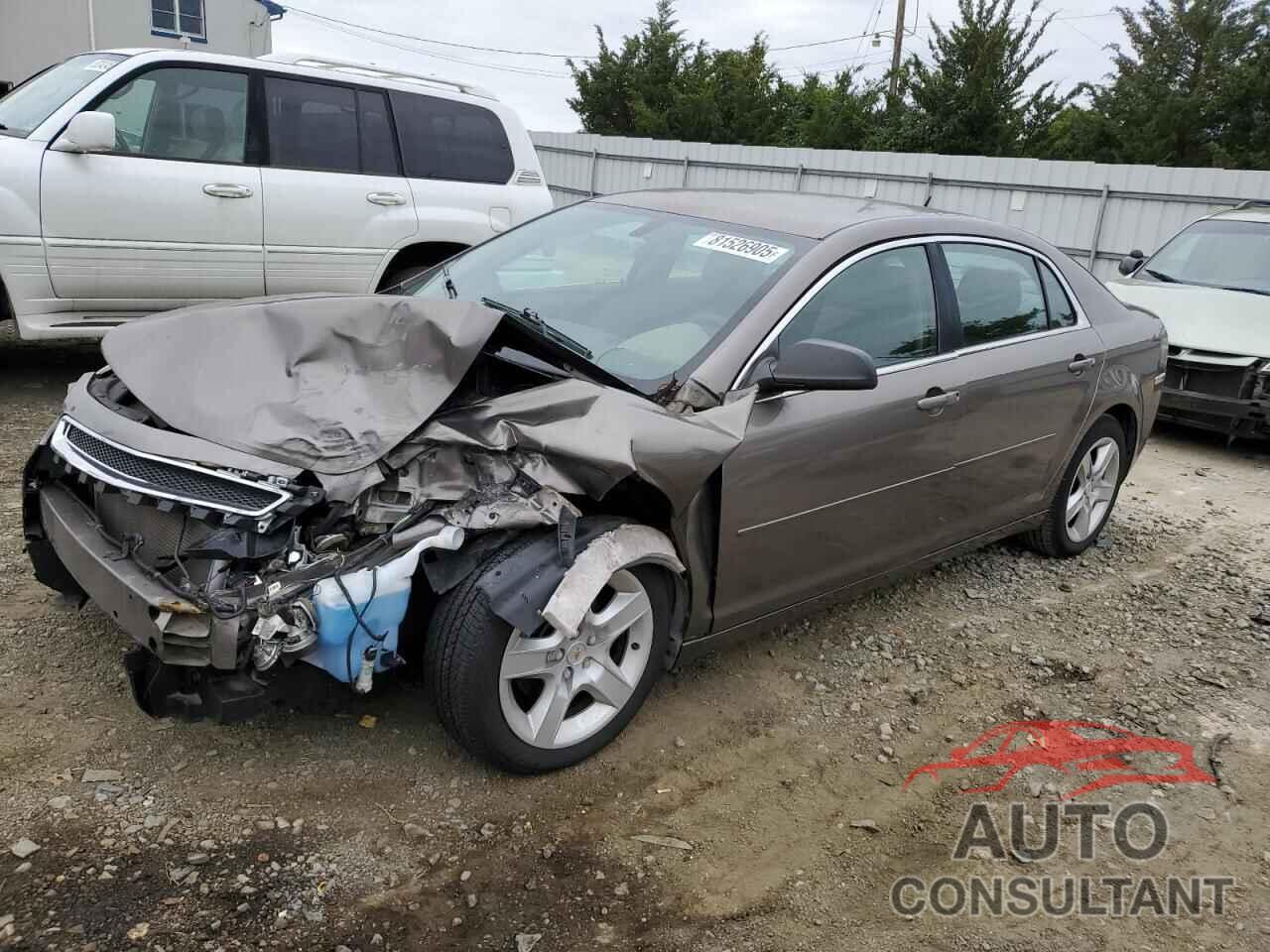 CHEVROLET MALIBU 2010 - 1G1ZB5EB8AF194146