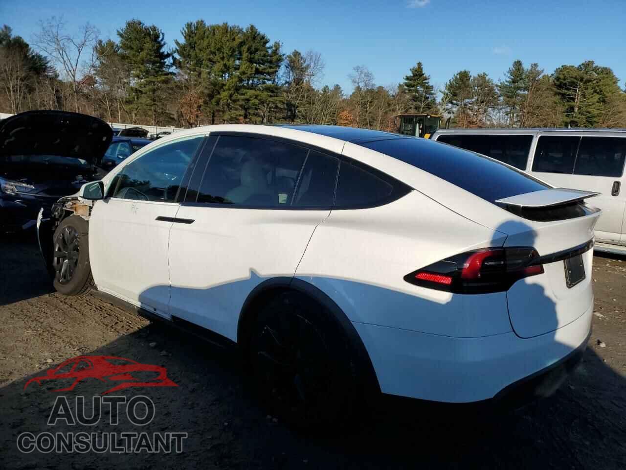 TESLA MODEL X 2024 - 7SAXCAE53RF442904