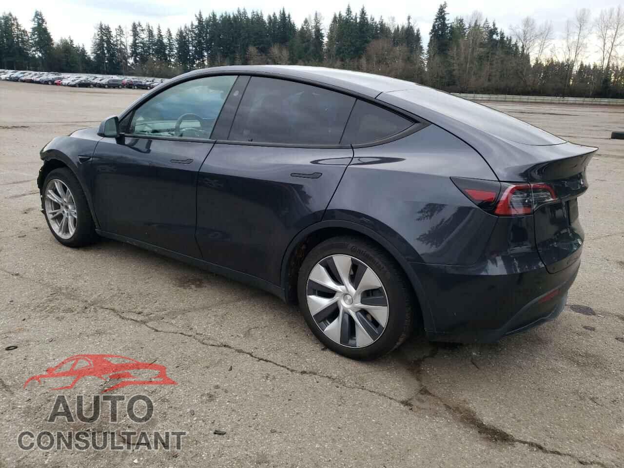 TESLA MODEL Y 2024 - 7SAYGAEE2RF993818