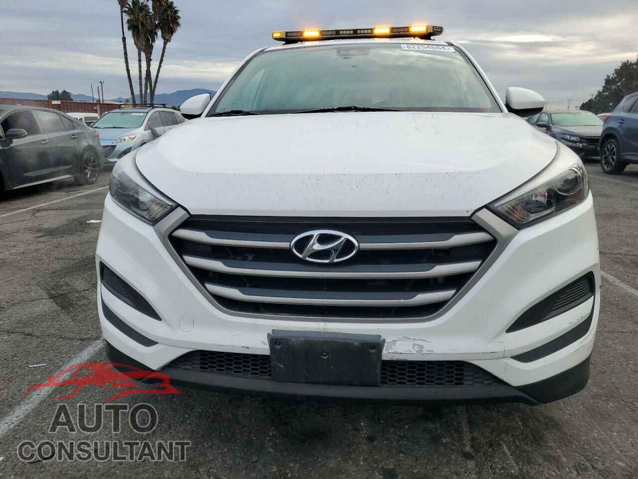 HYUNDAI TUCSON 2017 - KM8J23A43HU283897