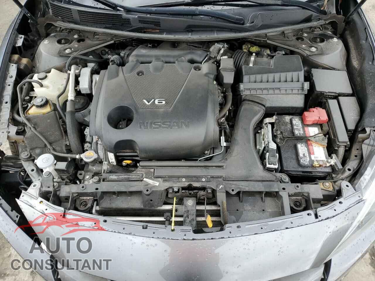 NISSAN MAXIMA 2017 - 1N4AA6AP7HC395018