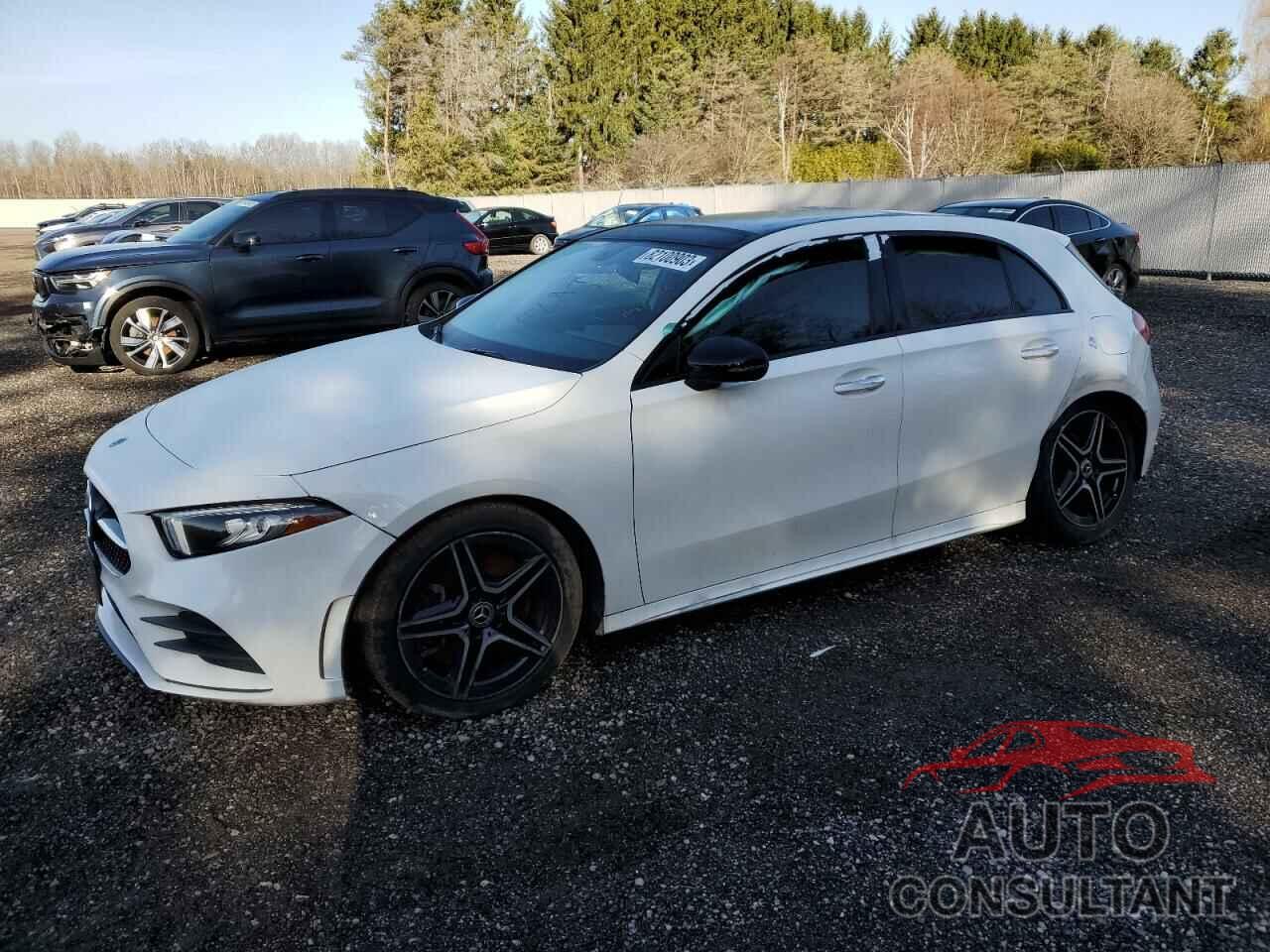 MERCEDES-BENZ A-CLASS 2019 - WDD3F4HB8KJ103923