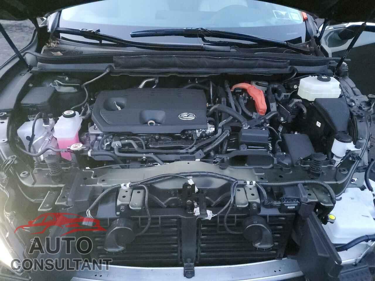 LEXUS RX 350H BA 2024 - 2T2BBMCA2RC036186