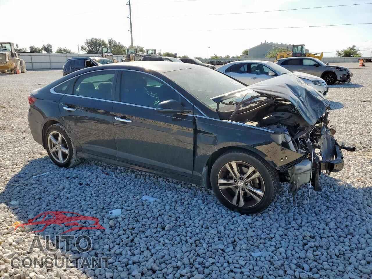 HYUNDAI SONATA 2019 - 5NPE34AF9KH742197