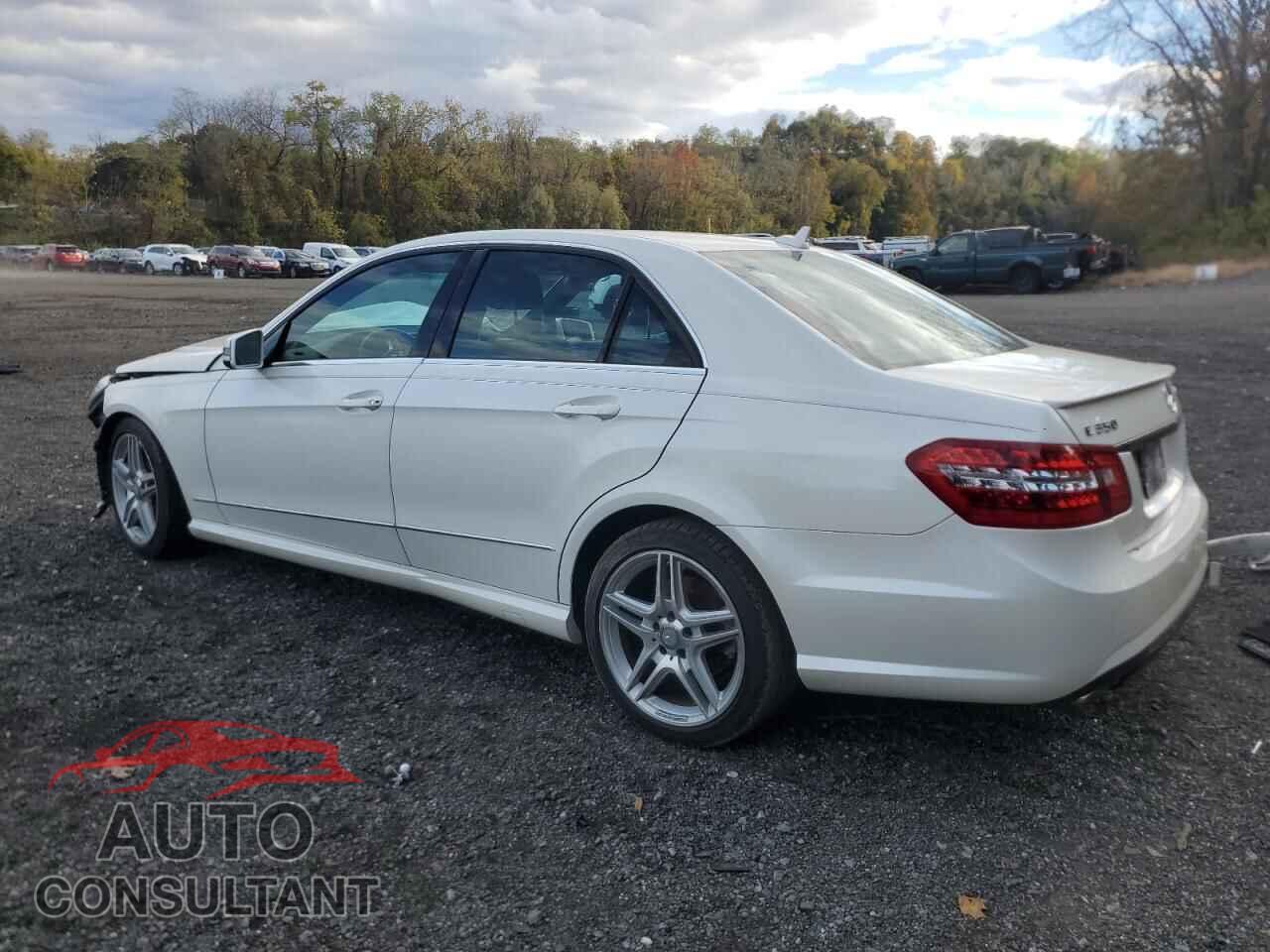 MERCEDES-BENZ E-CLASS 2013 - WDDHF8JB5DA712297