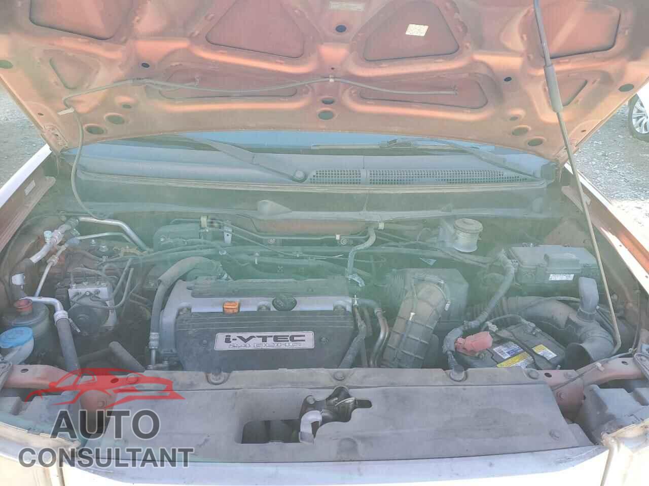 HONDA ELEMENT 2009 - 5J6YH28729L005568