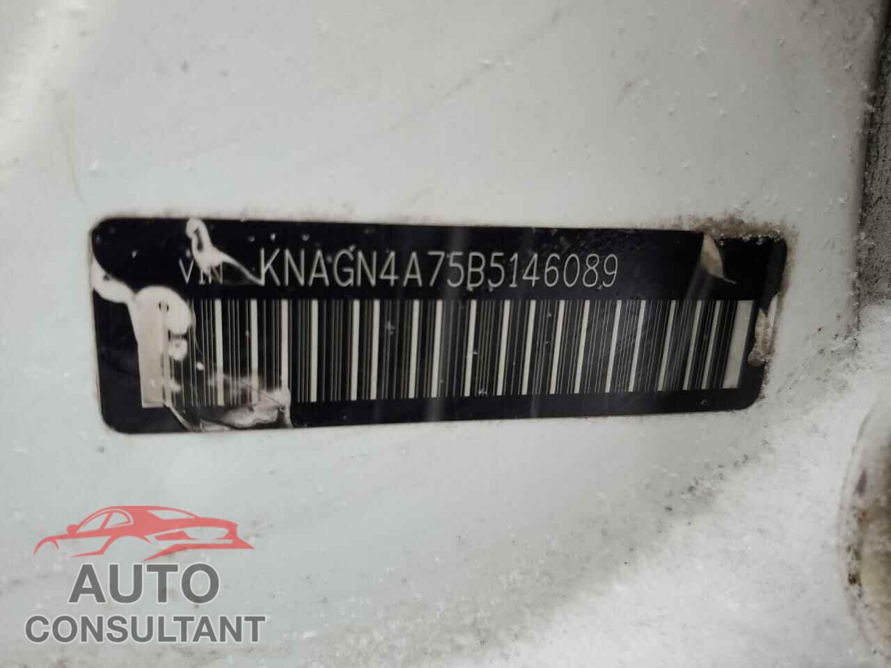 KIA OPTIMA 2011 - KNAGN4A75B5146089