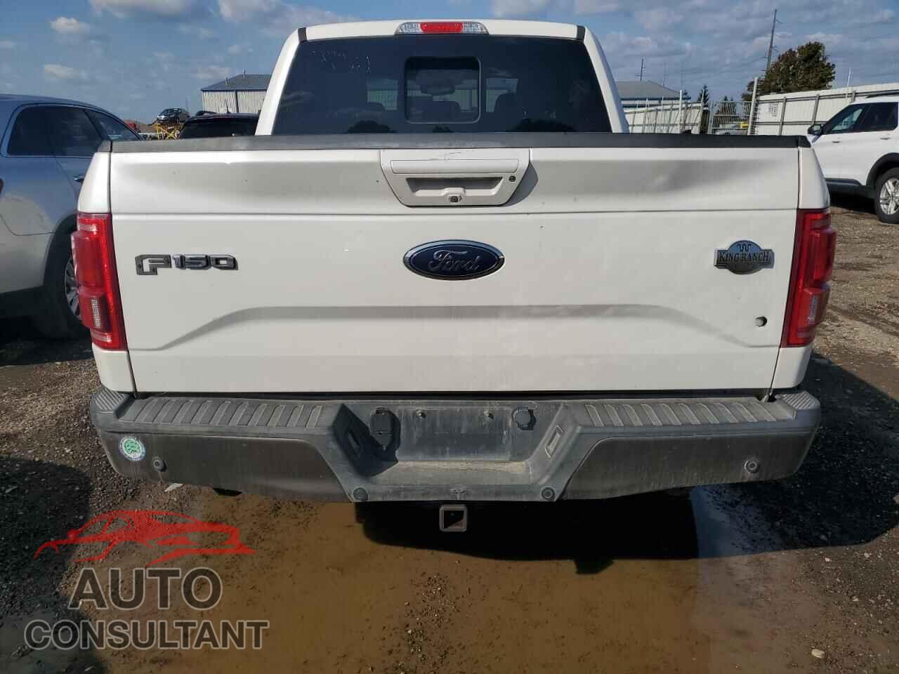 FORD F-150 2015 - 1FTEW1CG9FFA24029