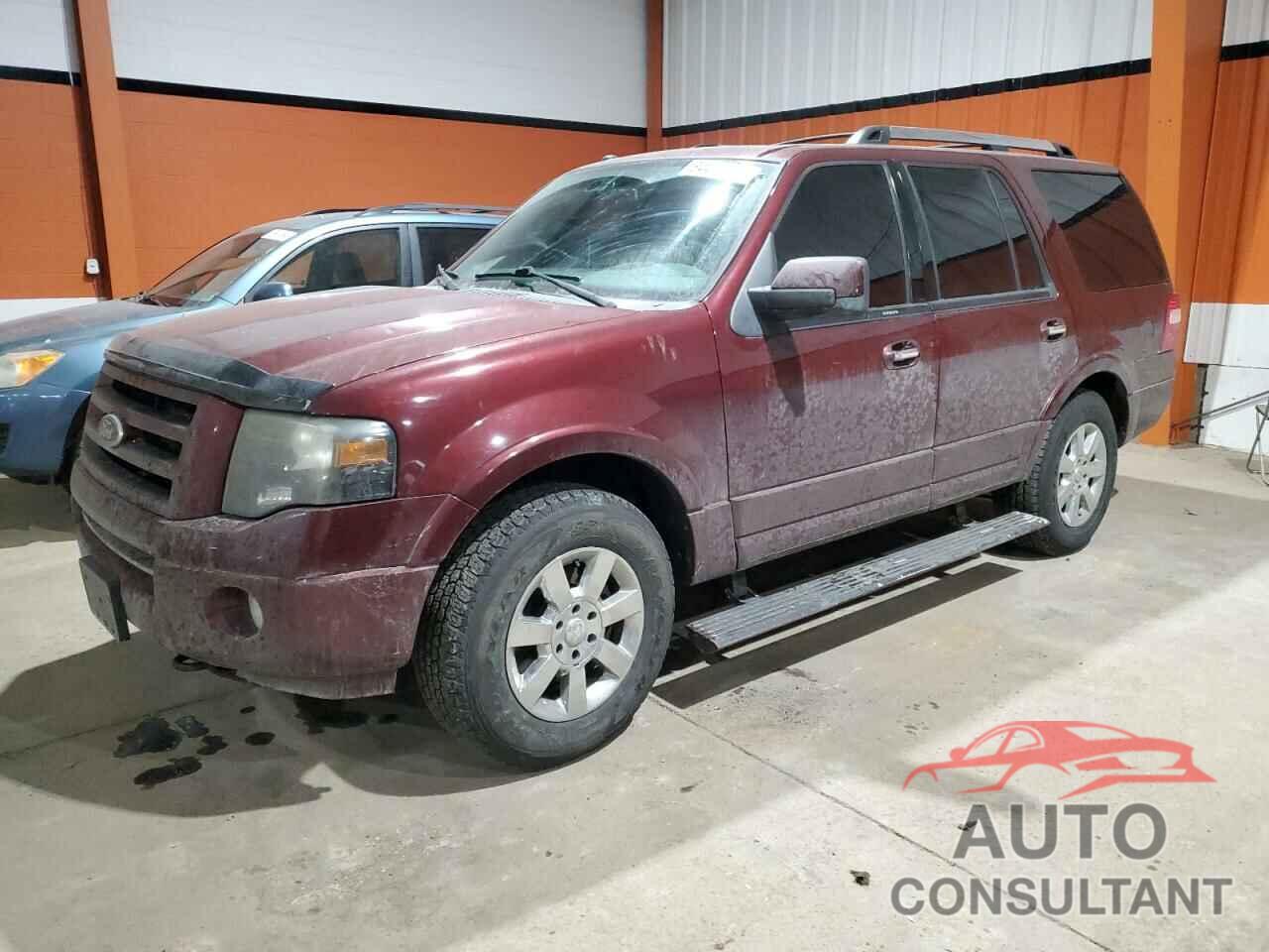 FORD EXPEDITION 2009 - 1FMFU20539LA08560